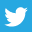 트위터 아이콘